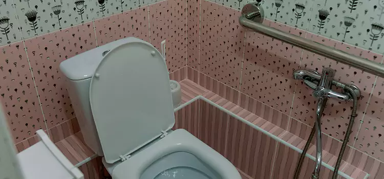 Meeting Diverse Needs With Accessible Restroom Solutions in Brooklyn Park, MN